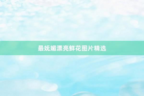 最妩媚漂亮鲜花图片精选